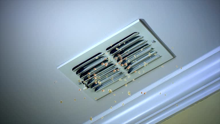 Best Affordable Duct Cleaning Services  in North Patchogue, NY